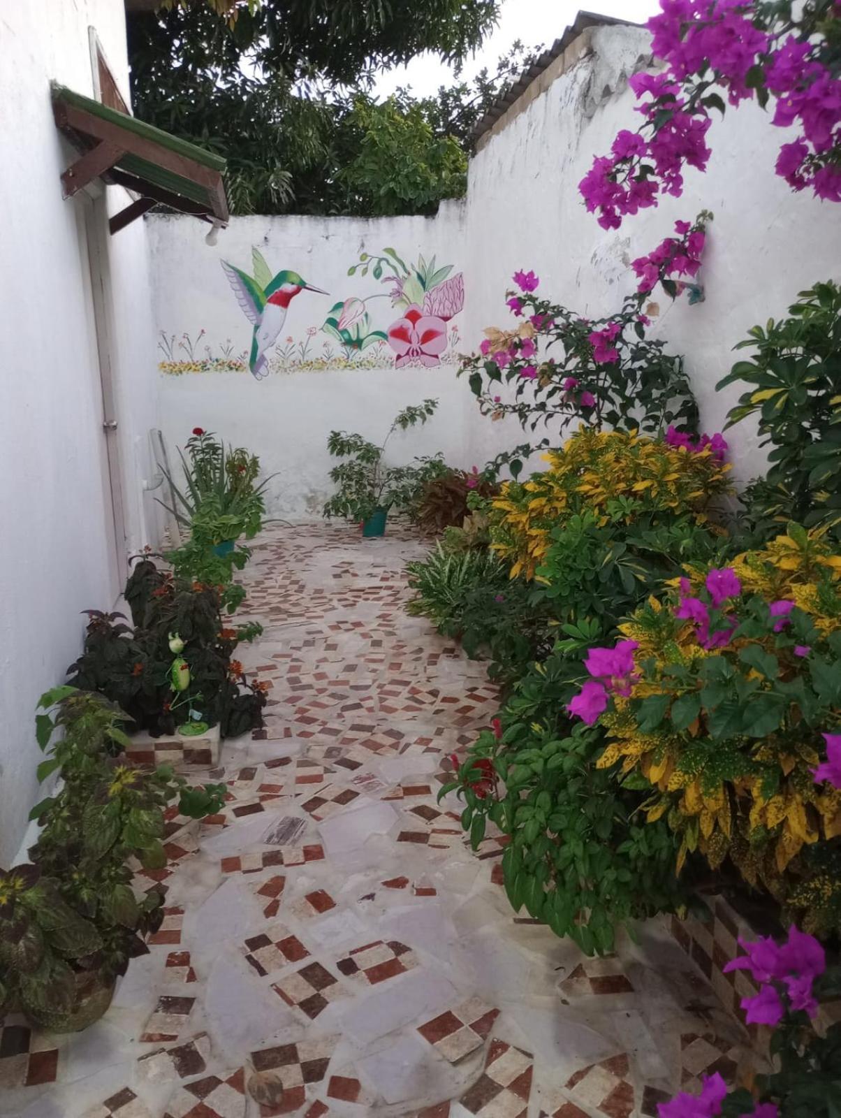 Hospedaje Casa Pachi En Cartagena De Indias 外观 照片