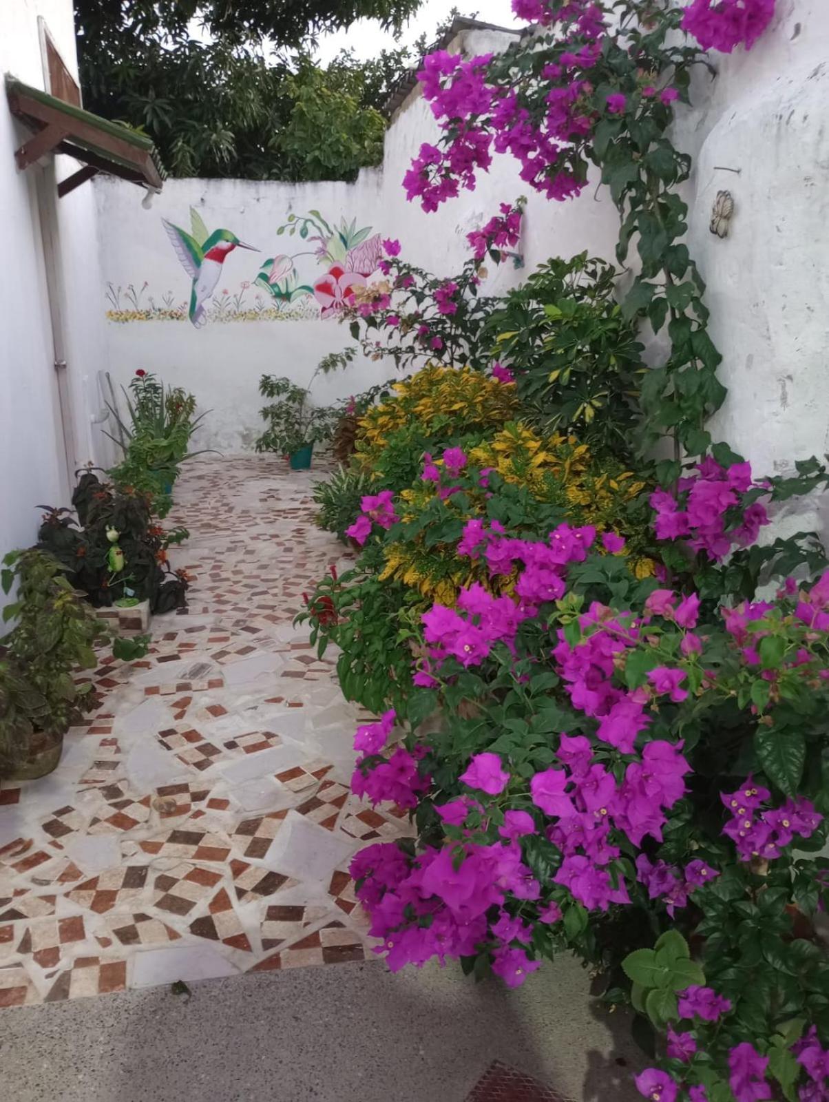 Hospedaje Casa Pachi En Cartagena De Indias 外观 照片
